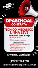 TÉCNICO MECÂNICO LINHA LEVE