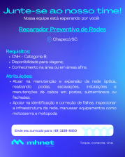 REPARADOR PREVENTIVO DE REDE