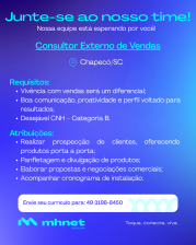 CONSULTOR EXTERNO DE VENDAS