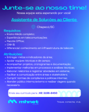 ASSISTENTE DE SOLUÇÕES AO CLIENTE