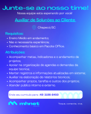 Auxiliar de Soluções ao Cliente