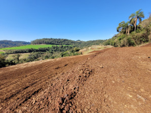 Área em Sede Figueira - Chapecó
