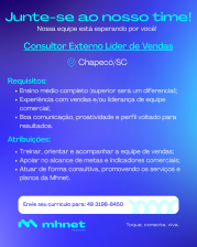 CONSULTOR EXTERNO LÍDER DE VENDAS