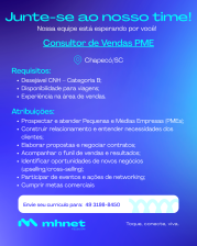 CONSULTOR DE VENDAS - PME