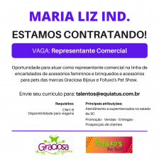 REPRESENTANTE COMERCIAL