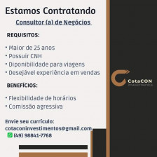 Consultor de Negócios 