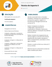 Técnico de Suporte N2
